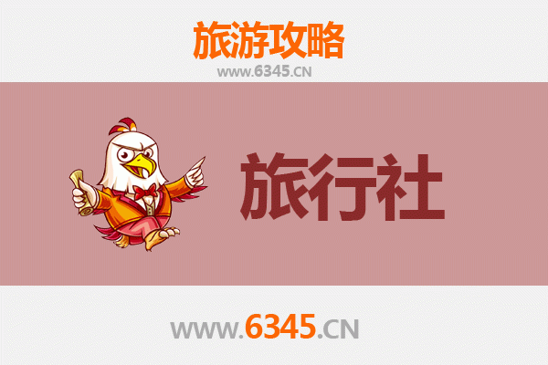 嘉兴海宁旅游全攻略：本地旅行社推荐与深度游玩指南